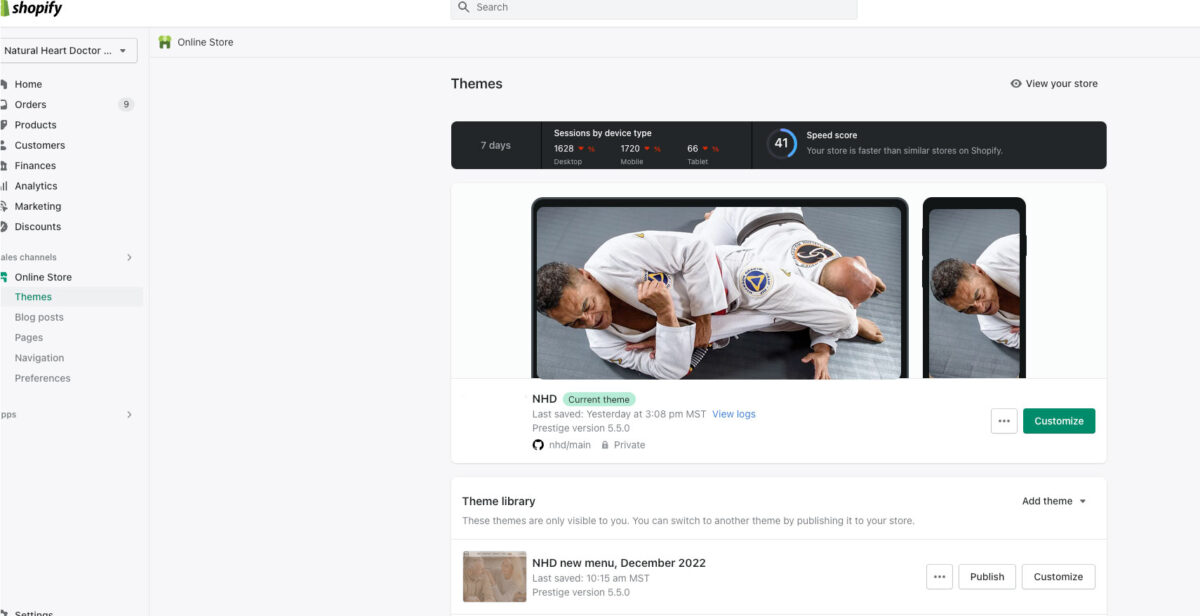 Shopify theme performance